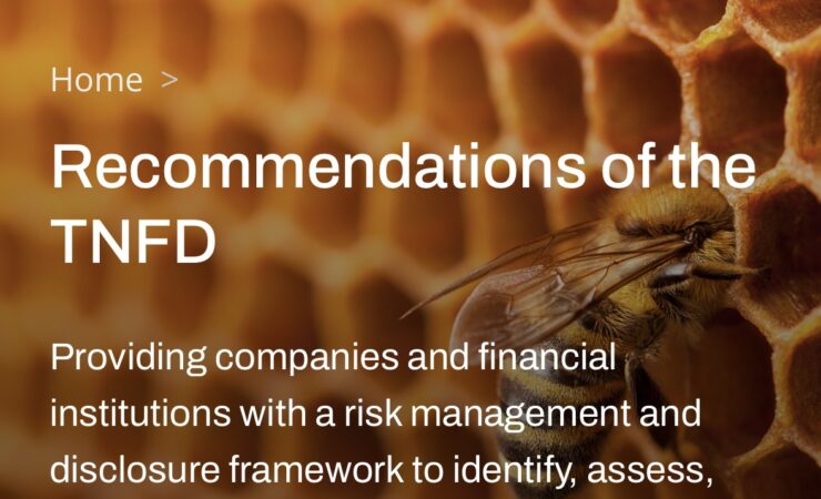 Empfehlungen der TNFD – Taskforce on Nature-related Financial Disclosures